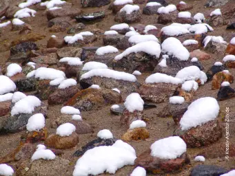 Schneehäubchen