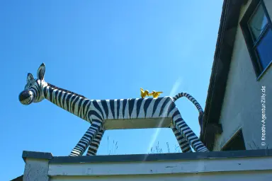 Zebra